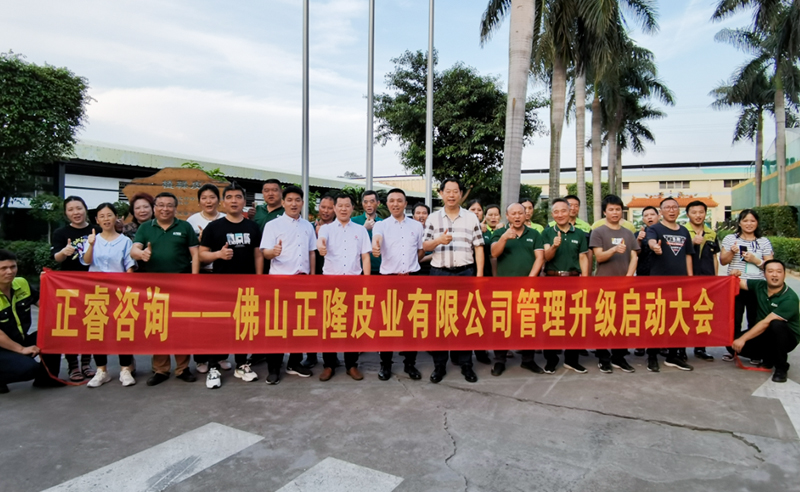 助力皮革行業(yè)再樹標(biāo)桿——正隆皮業(yè)全面管理升級(jí)項(xiàng)目啟動(dòng)！