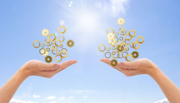 多品牌戰(zhàn)略：協(xié)同作戰(zhàn)，共創(chuàng)輝煌