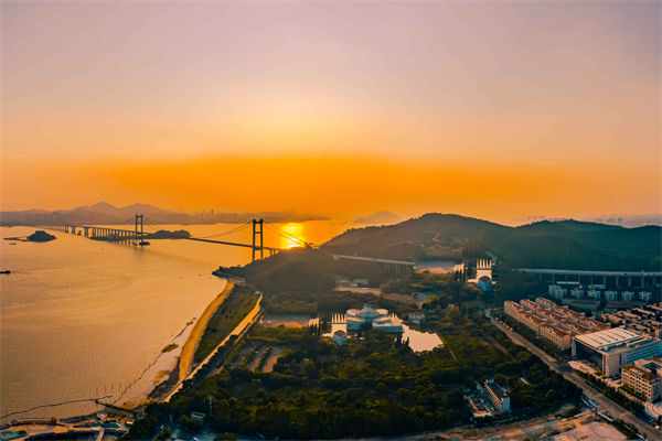 東莞供應(yīng)鏈咨詢公司如何優(yōu)化企業(yè)供應(yīng)鏈流程？