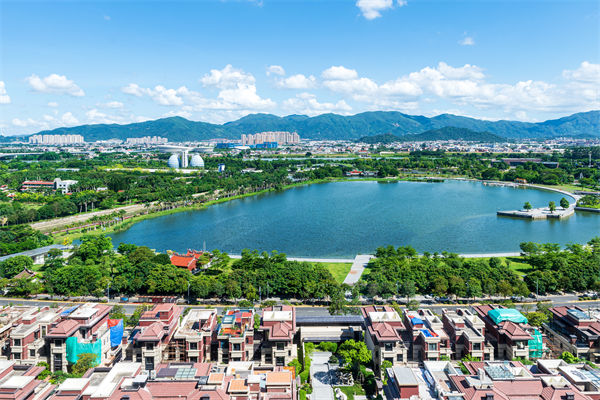 漳州戰(zhàn)略咨詢公司如何為企業(yè)定制長遠發(fā)展藍圖？