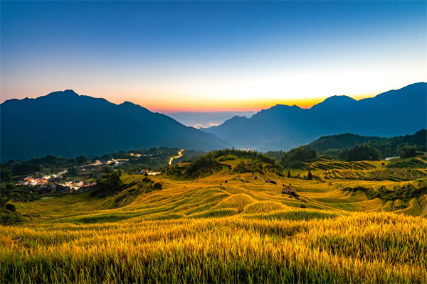 麗水組織規(guī)劃咨詢公司如何為企業(yè)構建高效組織架構？