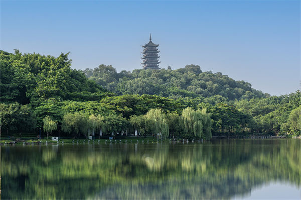 如何評(píng)估佛山集團(tuán)管控咨詢公司的服務(wù)質(zhì)量和效果？