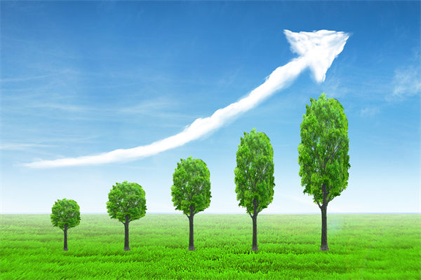 植樹就是植未來，對企業(yè)的戰(zhàn)略規(guī)劃有哪些啟示？