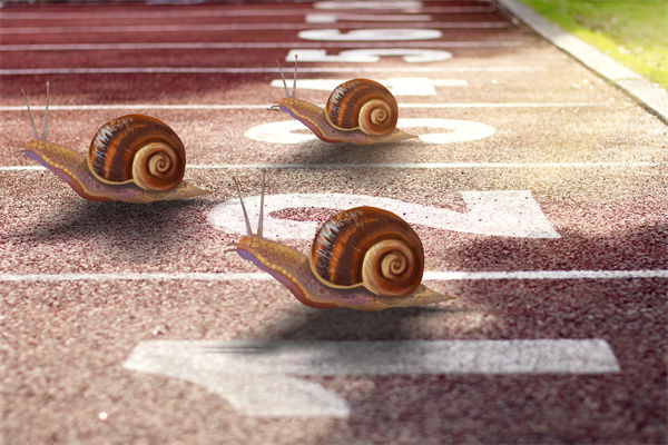 新業(yè)務拓展艱難，年度經(jīng)營計劃為其定制專屬發(fā)展路徑