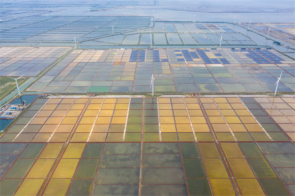 濰坊集團子公司失控內(nèi)耗嚴重，濰坊集團管控咨詢公司如何重構(gòu)權責體系？