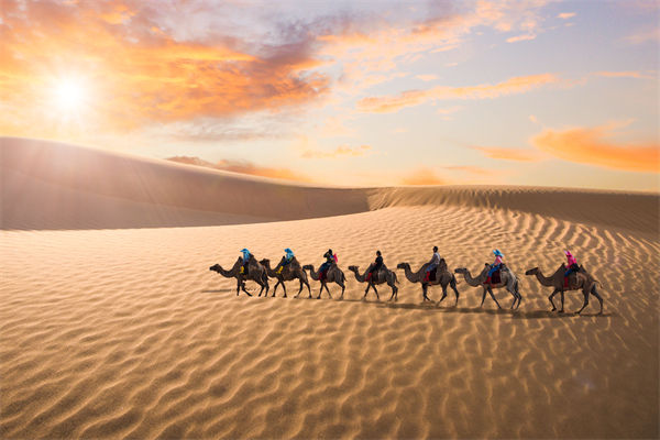 企業(yè)文化管理失效？這三大認知誤區(qū)為何拖垮團隊？