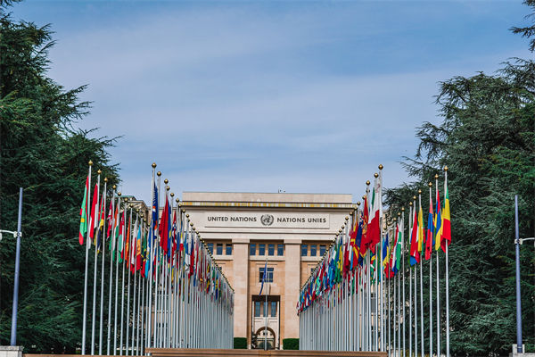 英法等25國發(fā)表聯(lián)合聲明，企業(yè)組織規(guī)劃有何啟示？