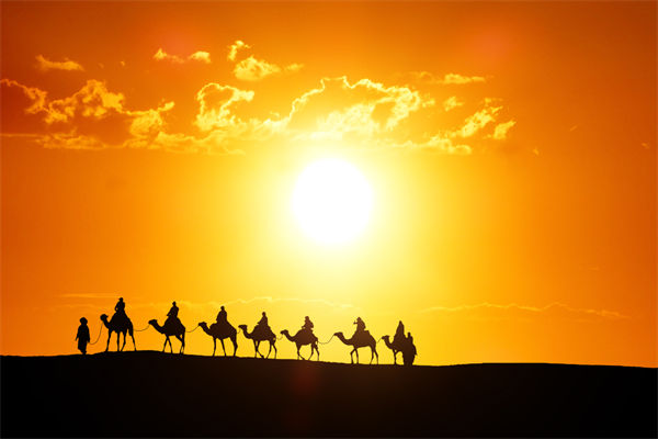 高層標榜的企業(yè)文化，如何穿透形式真正落地生根？