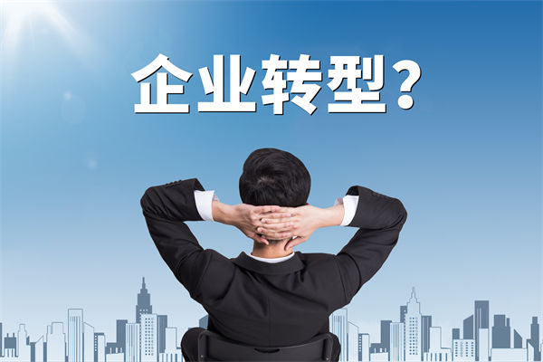 企業(yè)轉(zhuǎn)型無方向，數(shù)智化咨詢公司能否指引明路？