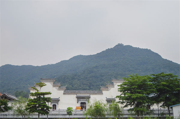 子公司各自為戰(zhàn)內(nèi)耗大，佛山集團(tuán)管控咨詢公司有何整合之道？