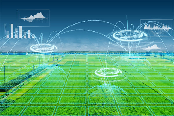 溫州種出2.1米高巨型水稻，精益生產(chǎn)怎么看？