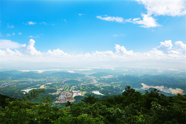 企業(yè)戰(zhàn)略飄在半空落地難，惠州戰(zhàn)略咨詢公司能錨定方向嗎？