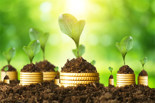 預(yù)算管理咨詢公司如何幫助企業(yè)破解資金錯(cuò)配問題？