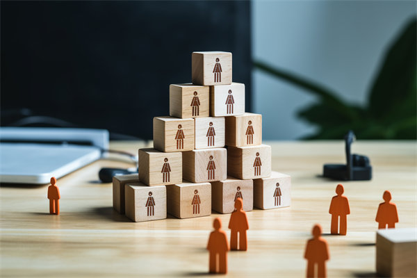 人力資源咨詢公司哪家好，適配企業(yè)戰(zhàn)略搭人才梯隊(duì)的