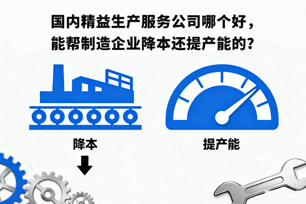 國(guó)內(nèi)精益生產(chǎn)服務(wù)公司哪個(gè)好，能幫制造企業(yè)降本還提產(chǎn)能的？