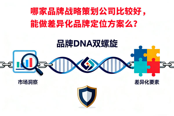 哪家品牌戰(zhàn)略策劃公司比較好，能做差異化品牌定位方案么？