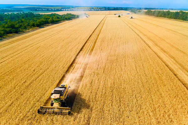 農(nóng)業(yè)行業(yè)供應(yīng)鏈管理咨詢公司推薦，能解農(nóng)資采購成本高問題嗎？